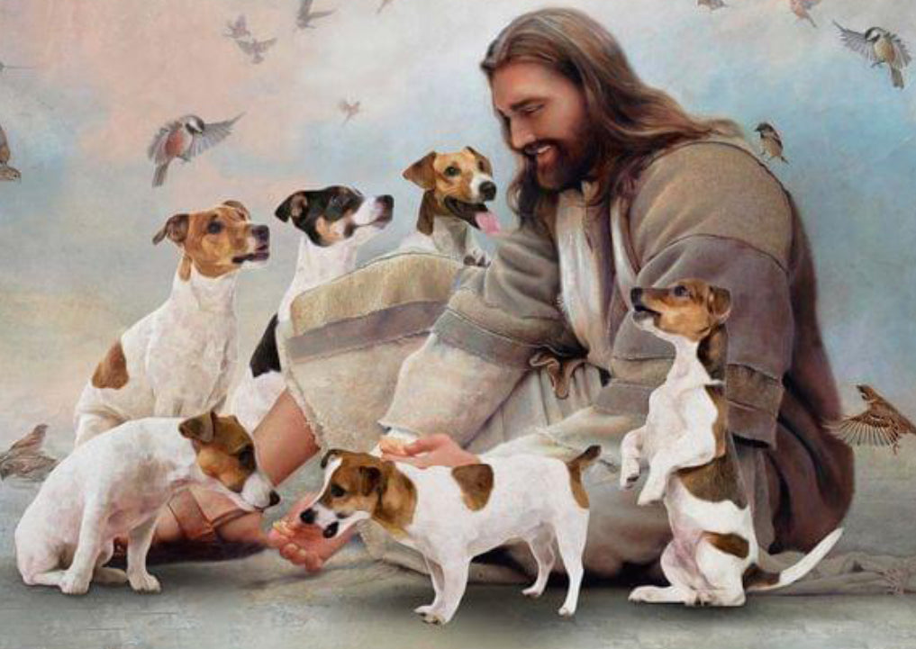 Jesus and Jack Russell Terrier