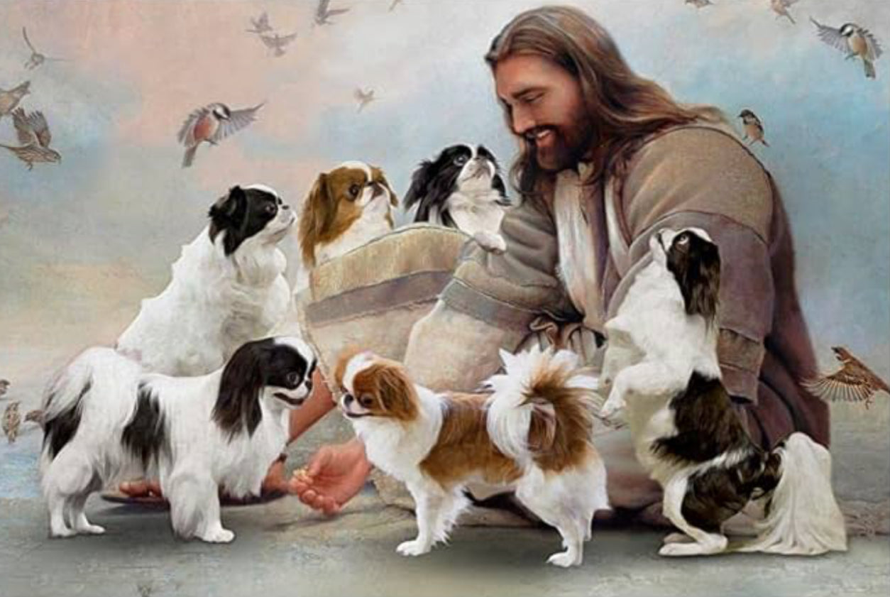 Jesus and shit tzu