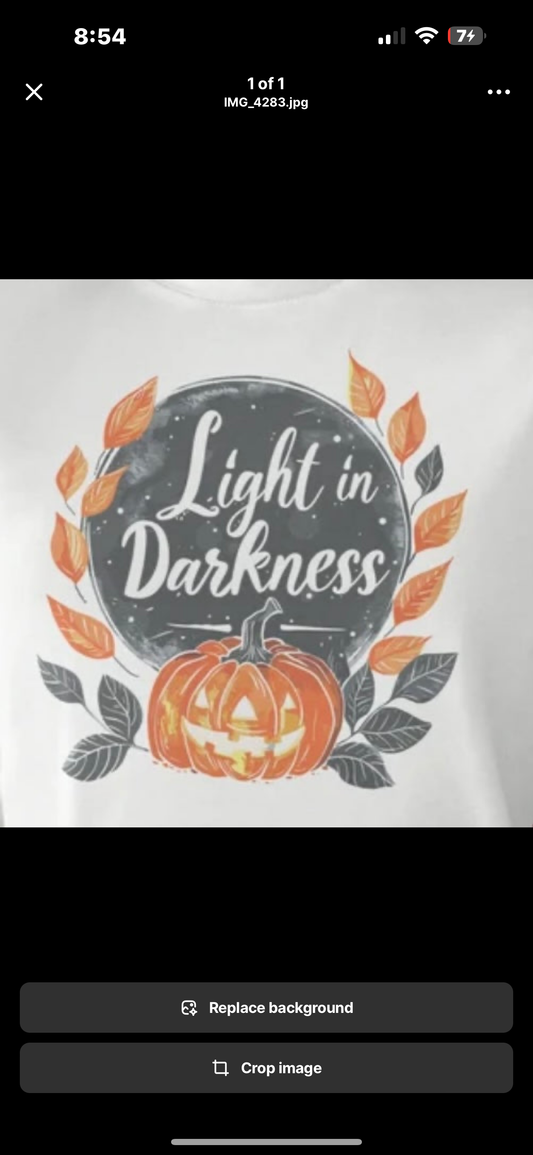 Lyd’s Light In the Darkness Tshirt  unisex