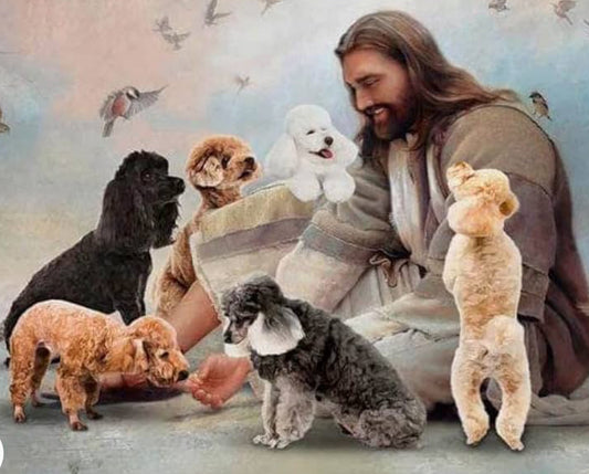 Jesus and poodle