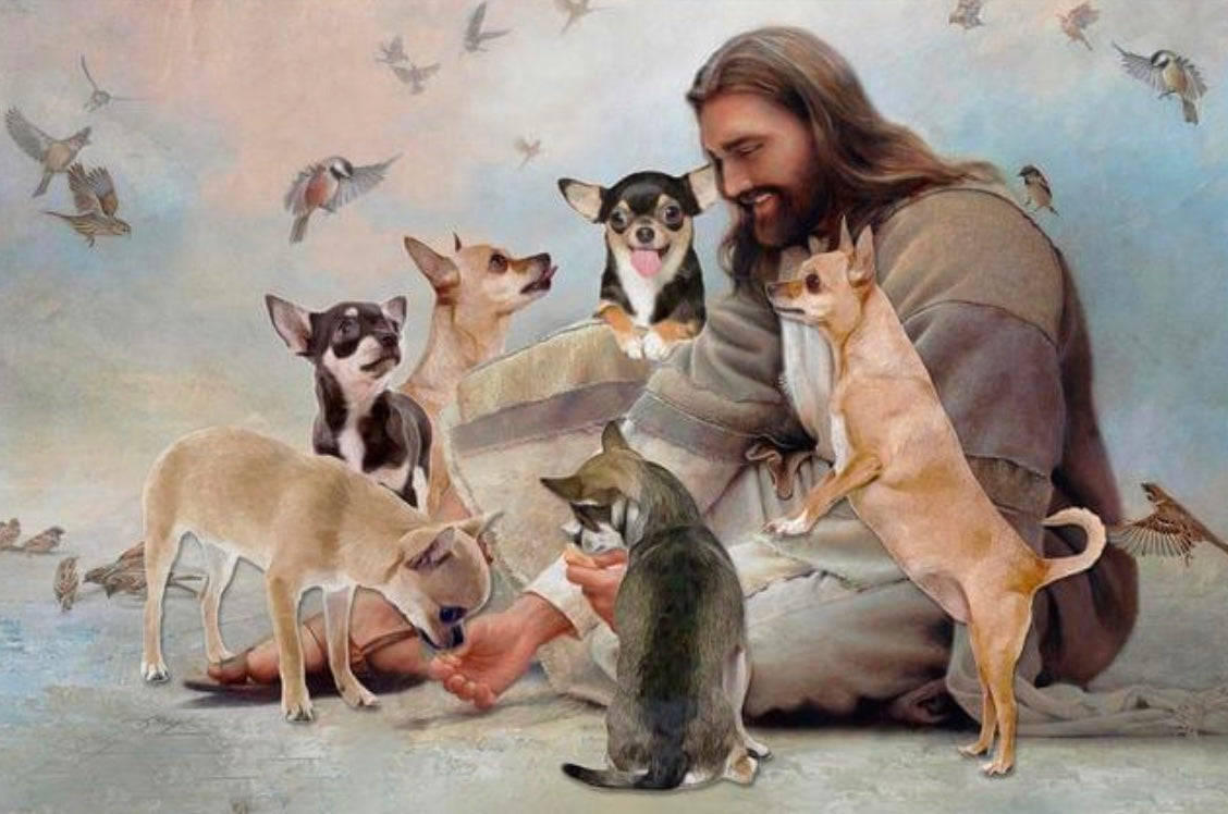 Jesus and chihuahua