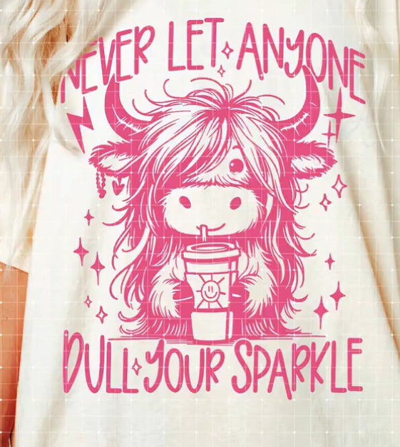 Never Let Anyone Dull Your Sparkle