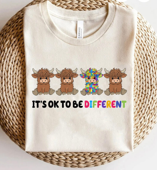 It’s Ok To Be Different