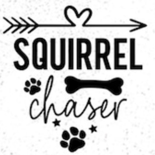 Pet Bandanas Squirrel Chaser